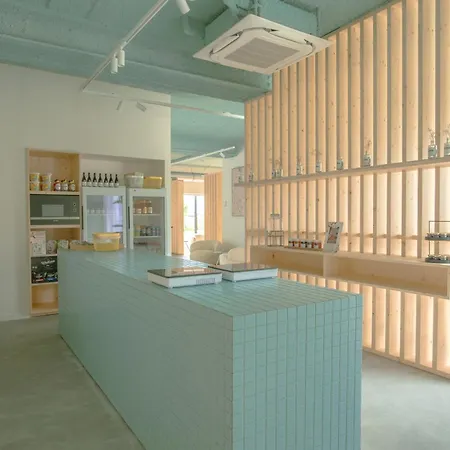 Zaelig クノック・ヘイスト