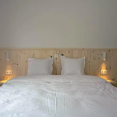Hotel Zaelig