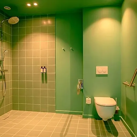 Hotel Zaelig 3*