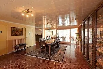 Zaelig Hotel