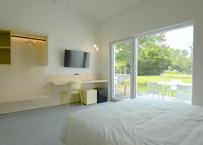 Zaelig كنوك هايست