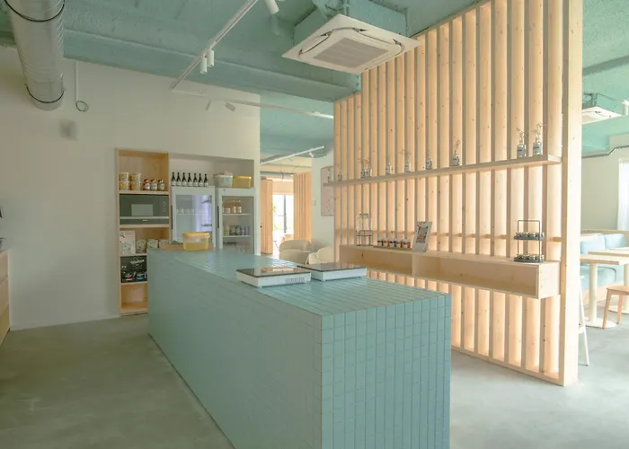 Zaelig كنوك هايست