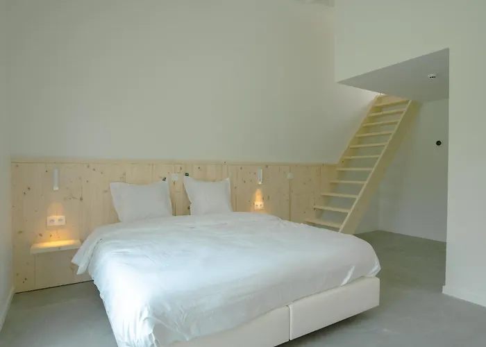 Hotel Zaelig Hotel 3*